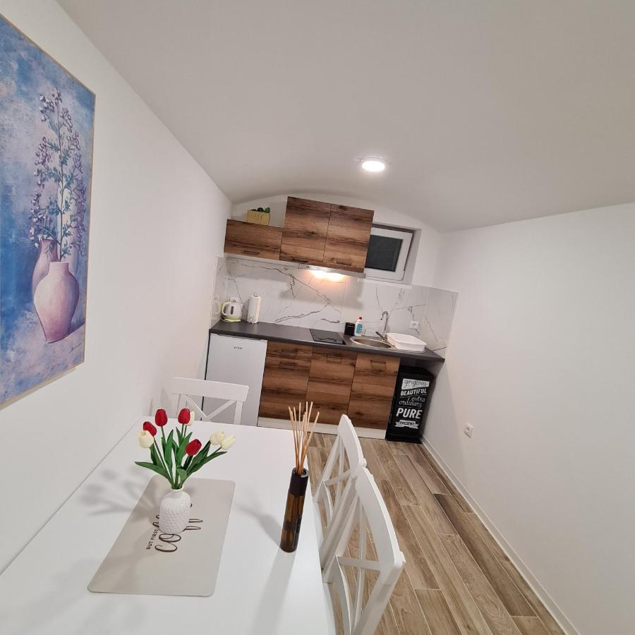 Apartment Dinlux Марібор Екстер'єр фото